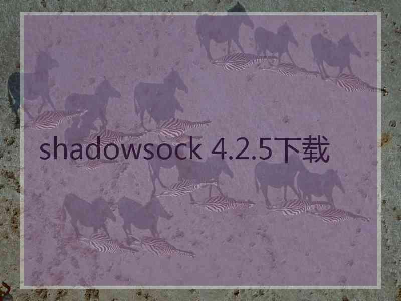 shadowsock 4.2.5下载