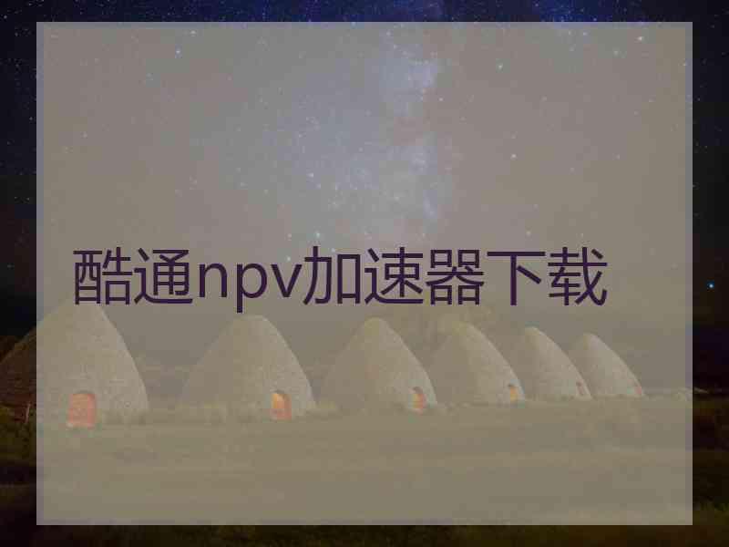 酷通npv加速器下载