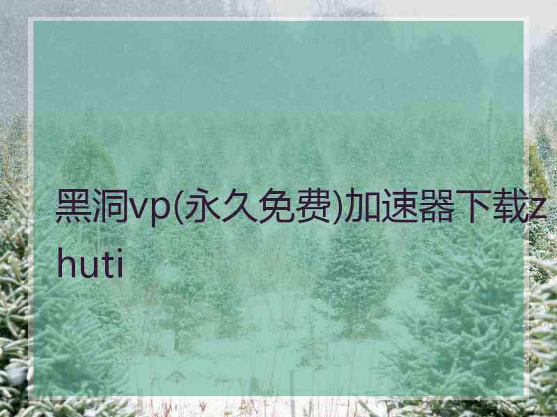 黑洞vp(永久免费)加速器下载zhuti