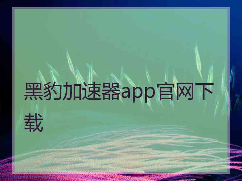 黑豹加速器app官网下载