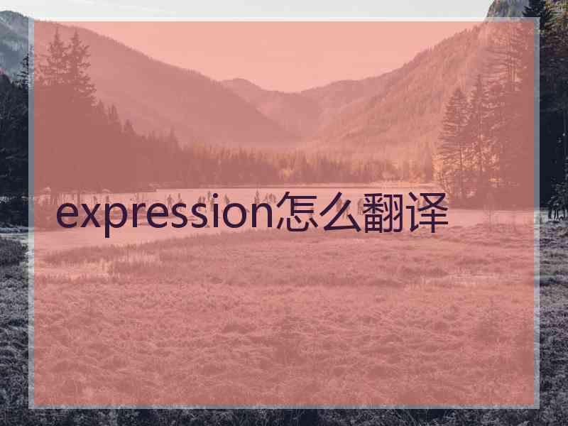 expression怎么翻译