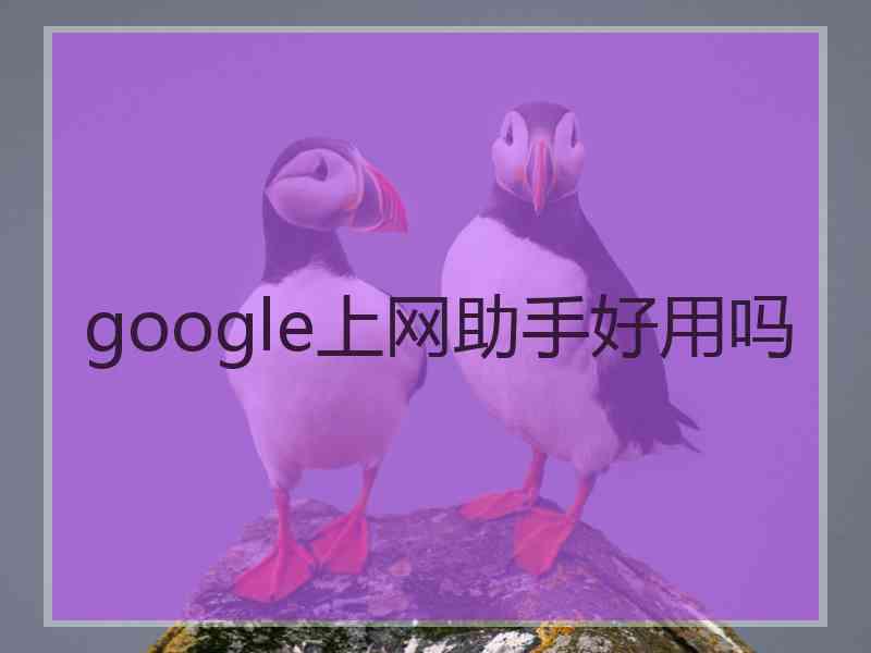 google上网助手好用吗