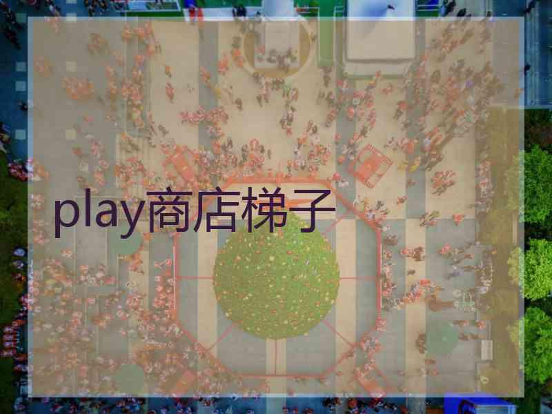 play商店梯子