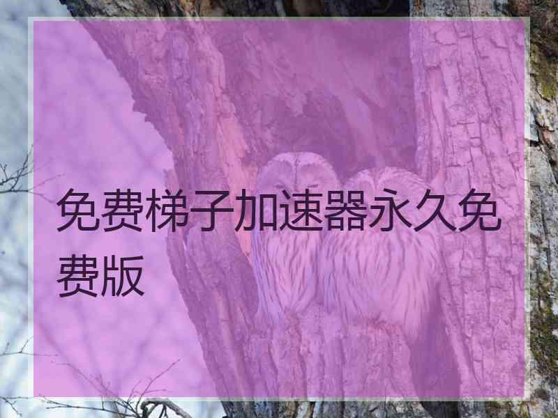 免费梯子加速器永久免费版