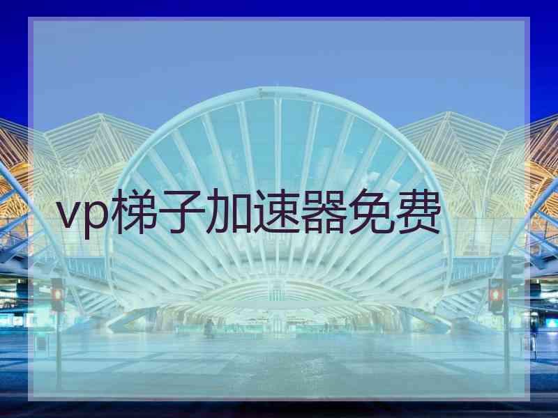 vp梯子加速器免费