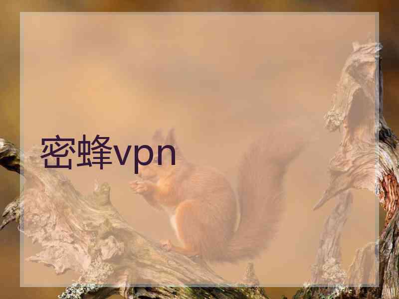 密蜂vpn