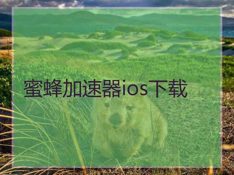 蜜蜂加速器ios下载