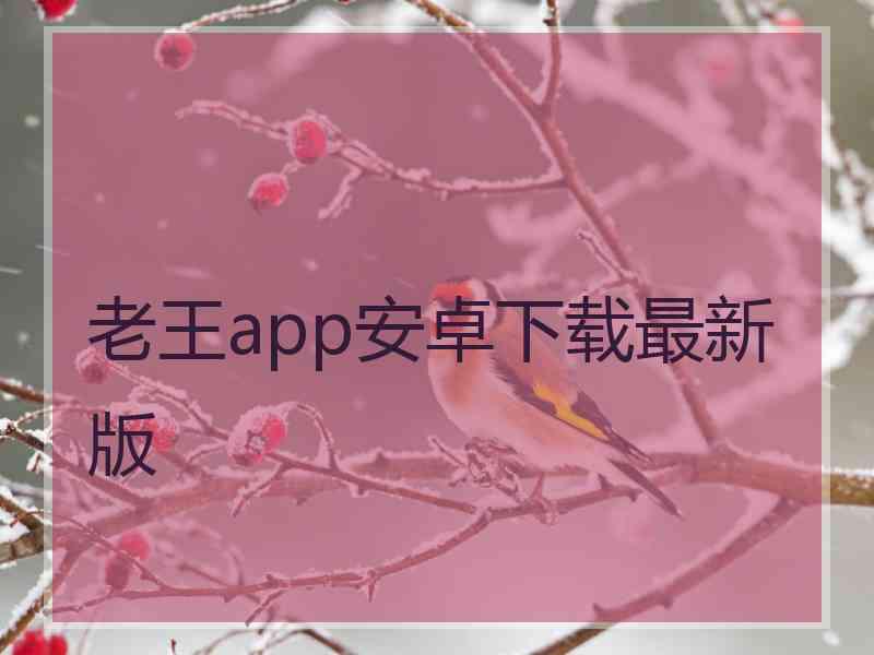 老王app安卓下载最新版