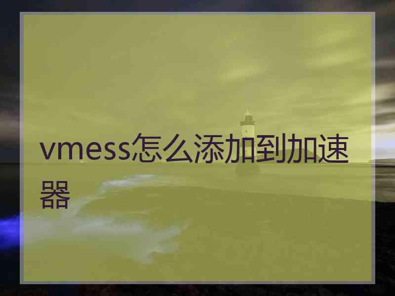 vmess怎么添加到加速器