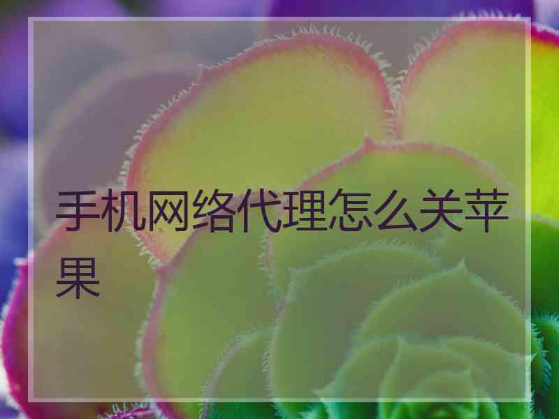 手机网络代理怎么关苹果