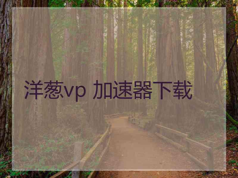 洋葱vp 加速器下载