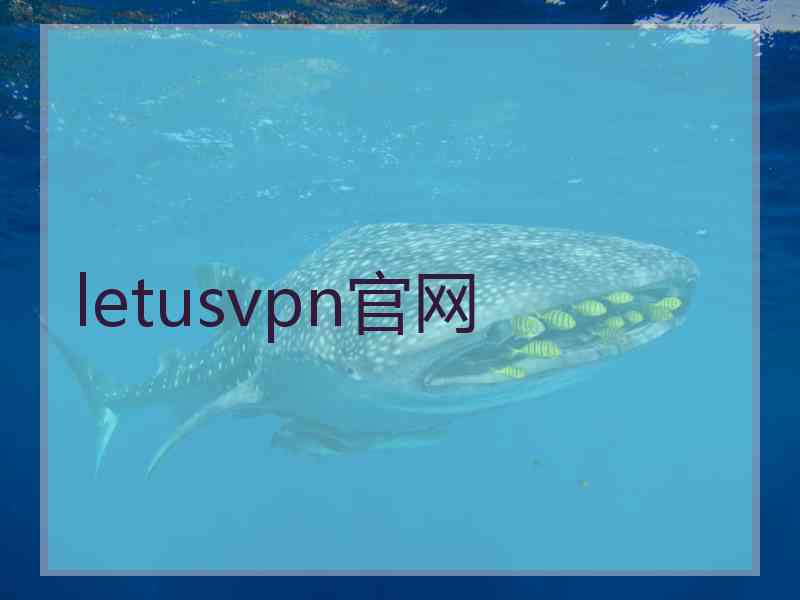 letusvpn官网