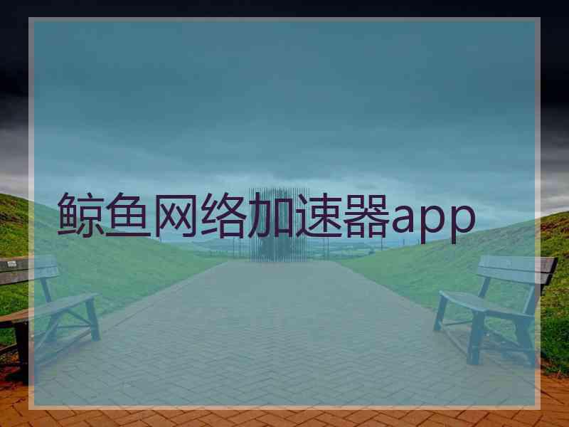 鲸鱼网络加速器app