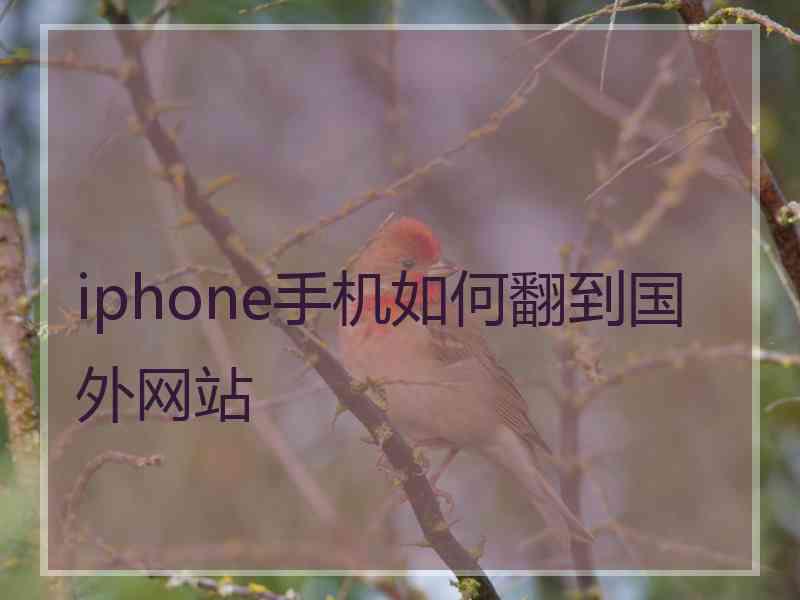 iphone手机如何翻到国外网站