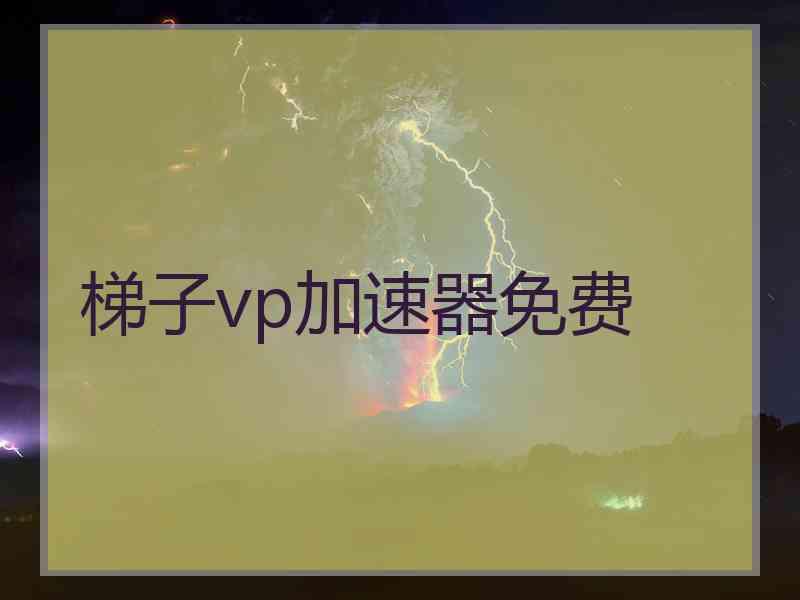 梯子vp加速器免费