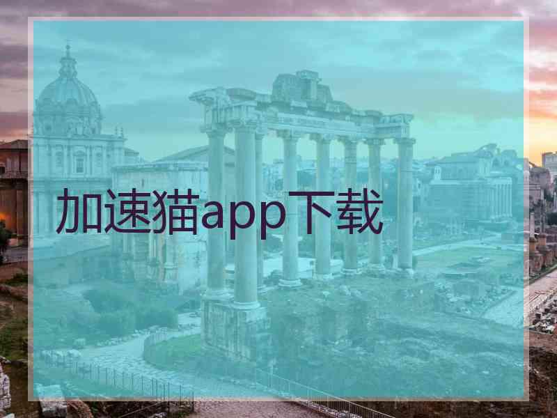 加速猫app下载