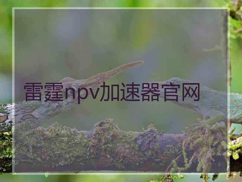 雷霆npv加速器官网