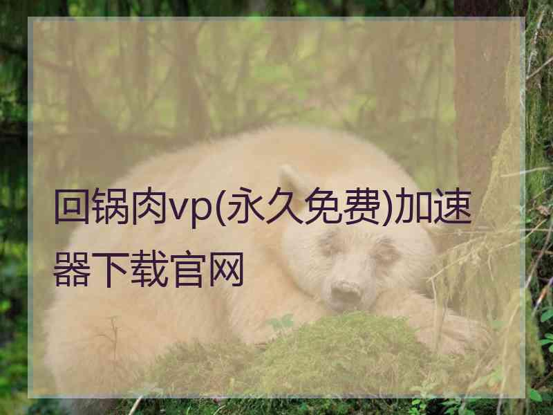 回锅肉vp(永久免费)加速器下载官网