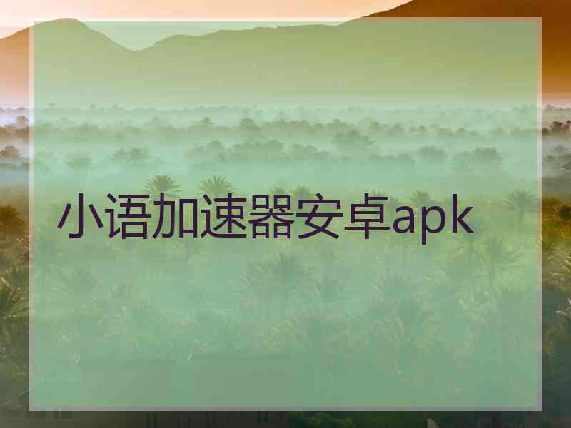 小语加速器安卓apk