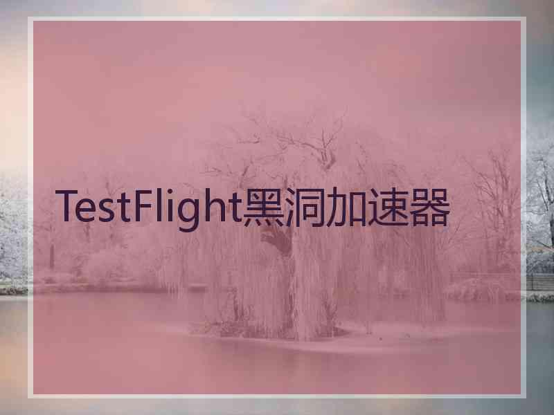 TestFlight黑洞加速器