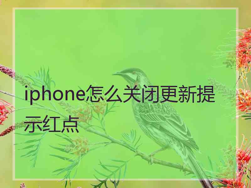 iphone怎么关闭更新提示红点