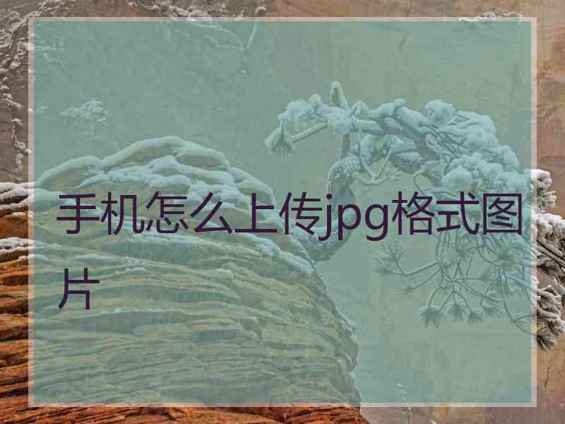 手机怎么上传jpg格式图片