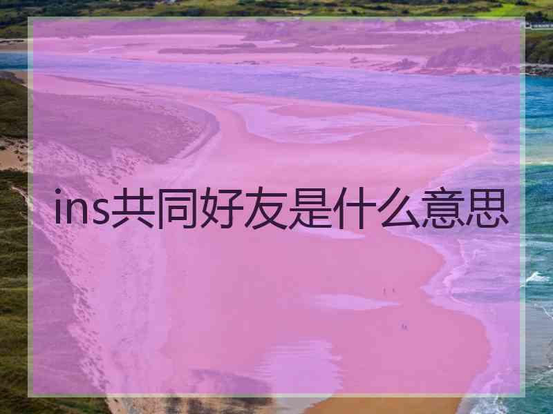 ins共同好友是什么意思