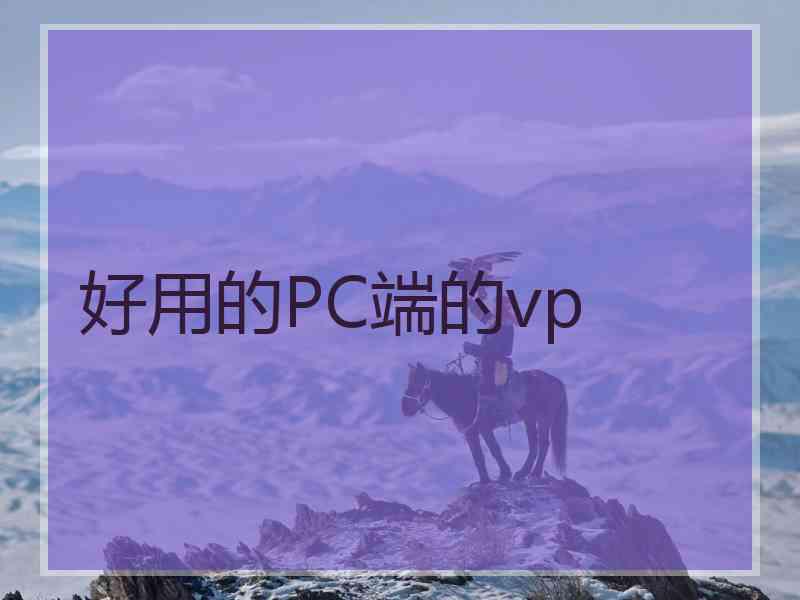 好用的PC端的vp