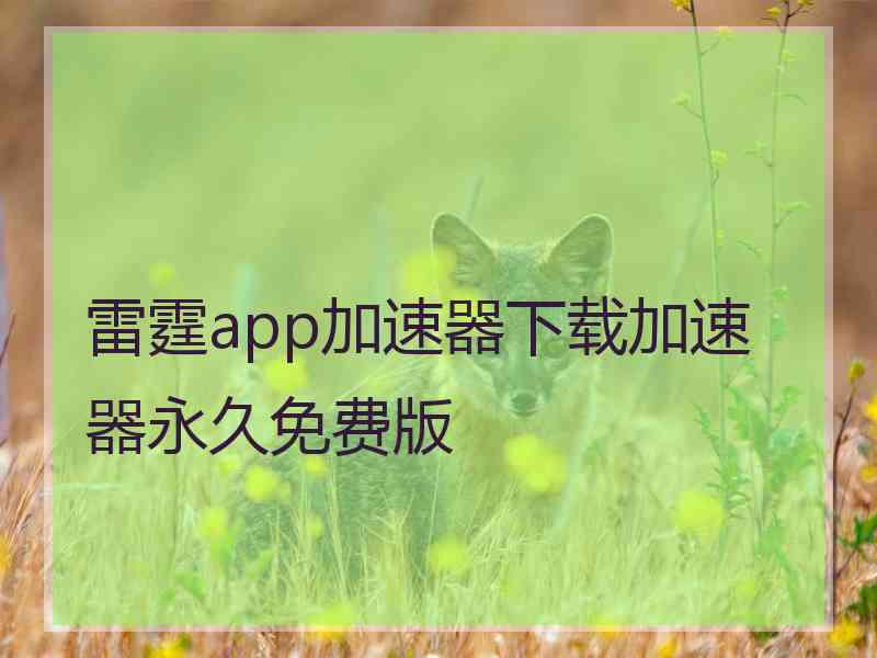 雷霆app加速器下载加速器永久免费版