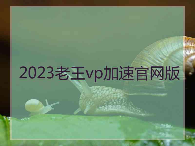 2023老王vp加速官网版