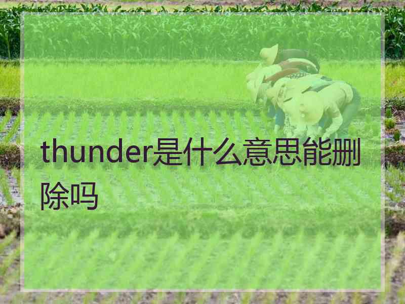 thunder是什么意思能删除吗