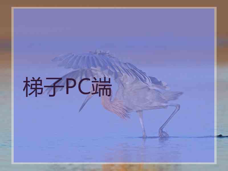 梯子PC端