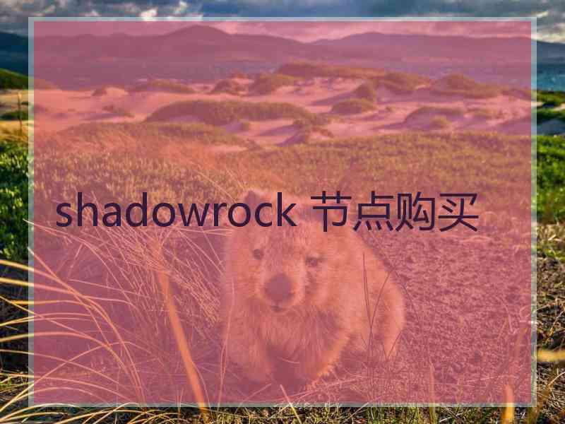 shadowrock 节点购买