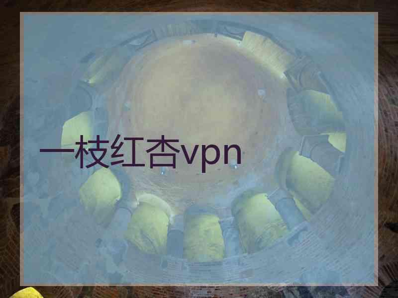 一枝红杏vpn