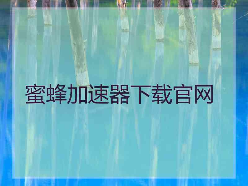 蜜蜂加速器下载官网