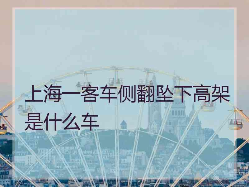 上海一客车侧翻坠下高架是什么车