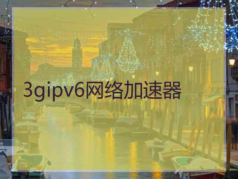 3gipv6网络加速器