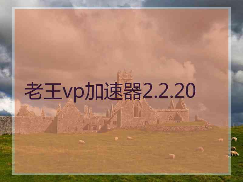 老王vp加速器2.2.20