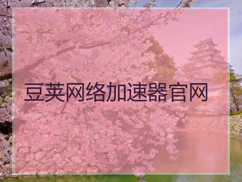 豆荚网络加速器官网