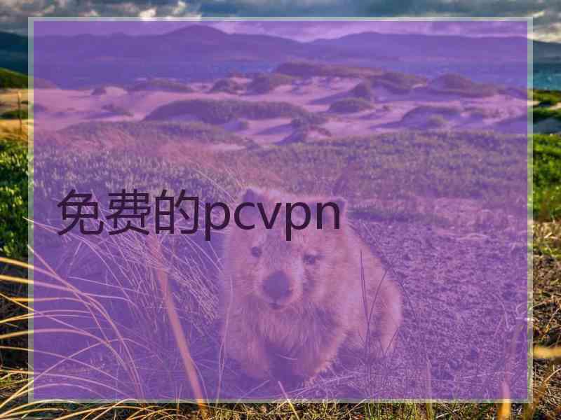 免费的pcvpn