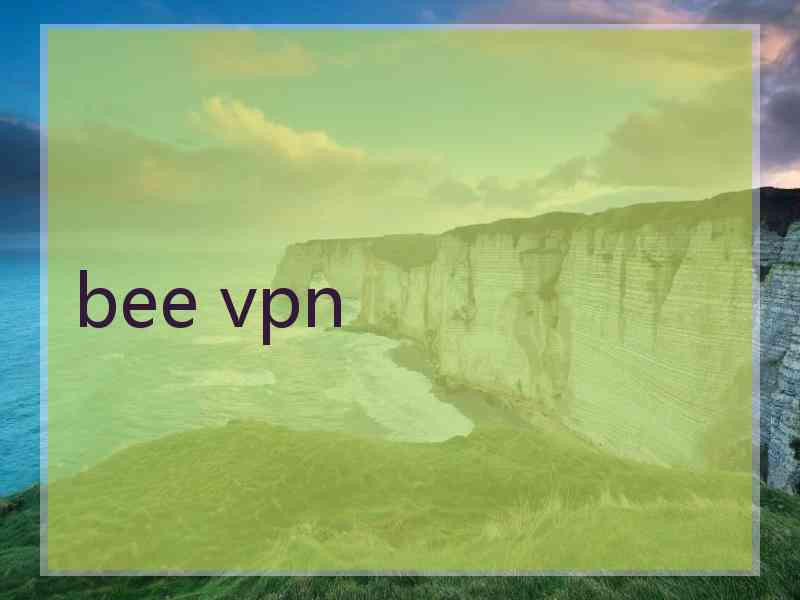 bee vpn